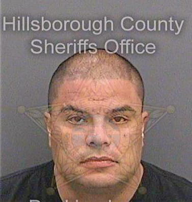Mejiarosado Miguel - Hillsborough County, FL 