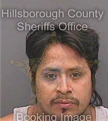 Vasquez Faustino - Hillsborough County, FL 