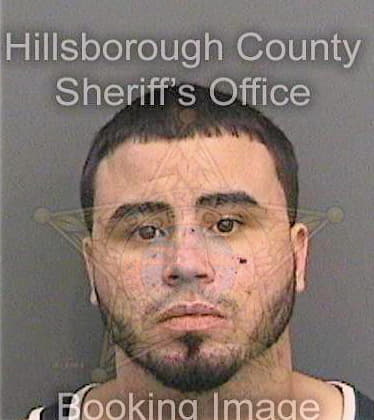 Santana Carlos - Hillsborough County, FL 