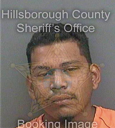 Correa Cesar - Hillsborough County, FL 