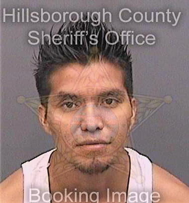 Vasquez Claudio - Hillsborough County, FL 