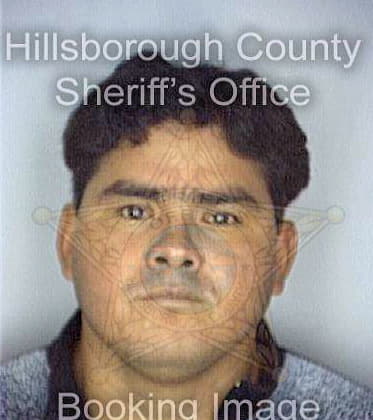 Sanchez Jose - Hillsborough County, FL 