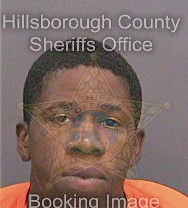 Thelus Kervins - Hillsborough County, FL 