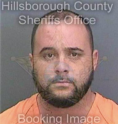 Garcia Dayan - Hillsborough County, FL 