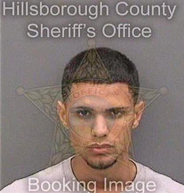 Maldonadovazquez Erikson - Hillsborough County, FL 