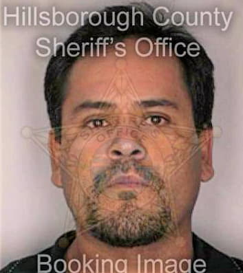 Mendozareynel Martin - Hillsborough County, FL 