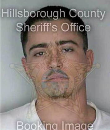 Skeens Nicholas - Hillsborough County, FL 