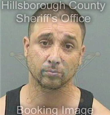 Otero Reynaldo - Hillsborough County, FL 