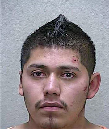 Mojica Gustavo - Marion County, FL 