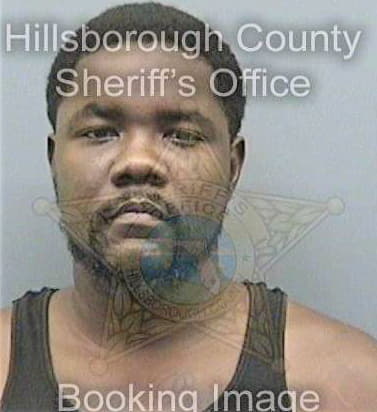 Desir Gelin - Hillsborough County, FL 