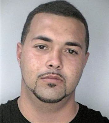 Garcia Jason - Hillsborough County, FL 