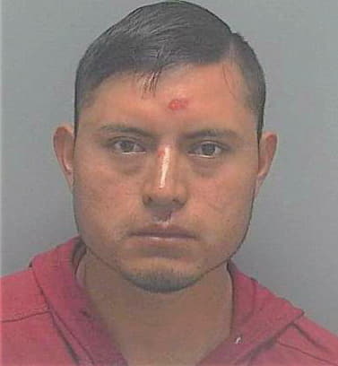 Mejia Jose - Lee County, FL 