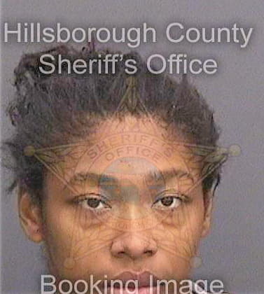 Mcpherson Tiffany - Hillsborough County, FL 