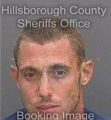 Dibenardo Anthony - Hillsborough County, FL 