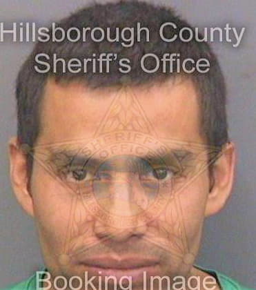 Delacruz Marcelino - Hillsborough County, FL 