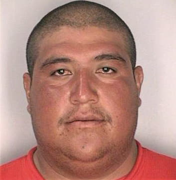 Vasquez David - Hillsborough County, FL 