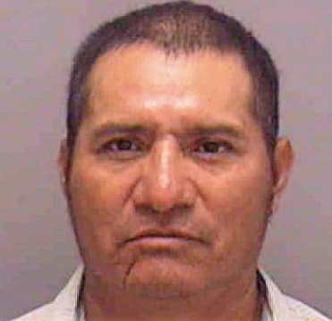 Miguel Jose - Lee County, FL 