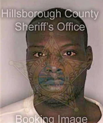 Smith Demetrius - Hillsborough County, FL 