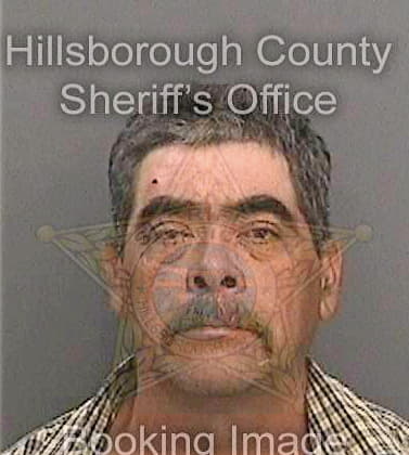 Perez Mardonio - Hillsborough County, FL 