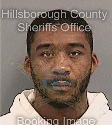 Mcnish Mario - Hillsborough County, FL 