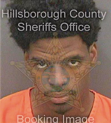 Davis Joshua - Hillsborough County, FL 