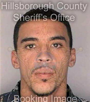 Richardson Bruce - Hillsborough County, FL 