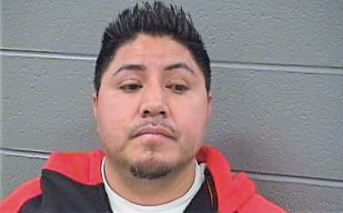 Hernandez Jaime - Cook County, IL 