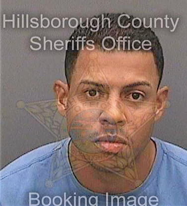 Navarro Walberto - Hillsborough County, FL 