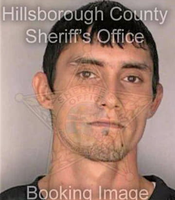 Ramirez Manuel - Hillsborough County, FL 