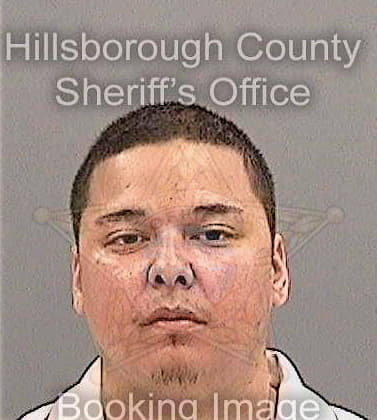 Gonzalez Rafael - Hillsborough County, FL 