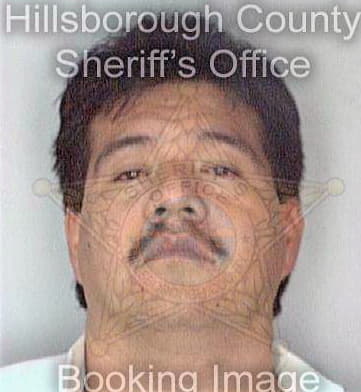 Arguello Adan - Hillsborough County, FL 