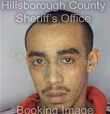 Rivera George - Hillsborough County, FL 