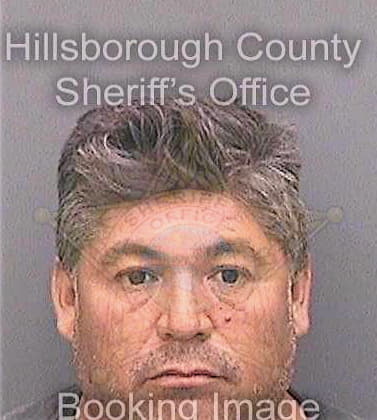 Navarroespinoza Otoniel - Hillsborough County, FL 