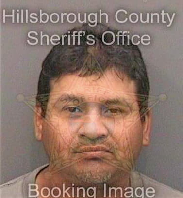 Martinez Leobardo - Hillsborough County, FL 