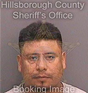 Garcia Juan - Hillsborough County, FL 