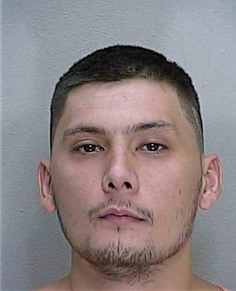 Andrade Joseph - Marion County, FL 