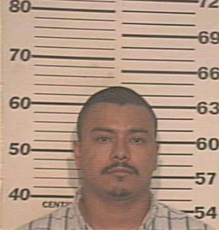 Hernandez Rene - Hidalgo County, TX 