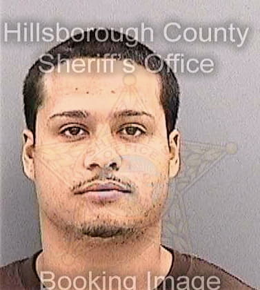 Ortiz Luis - Hillsborough County, FL 