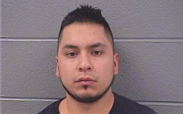 Hernandez David - Cook County, IL 