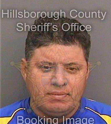 Padillahernandez Jose - Hillsborough County, FL 