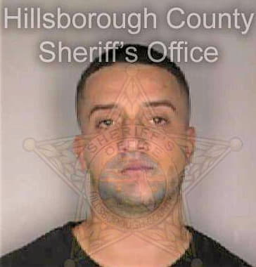 Porrino Giacomo - Hillsborough County, FL 