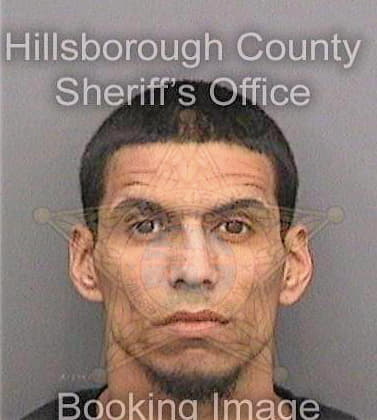 Ortega Manuel - Hillsborough County, FL 