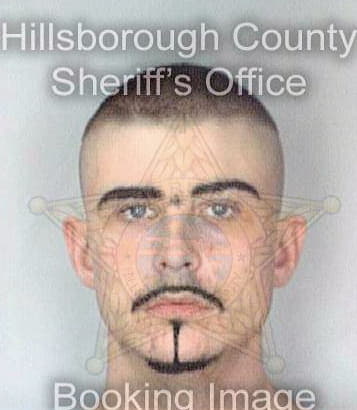 Jackson Sean - Hillsborough County, FL 