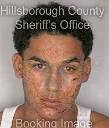 Galo Martin - Hillsborough County, FL 