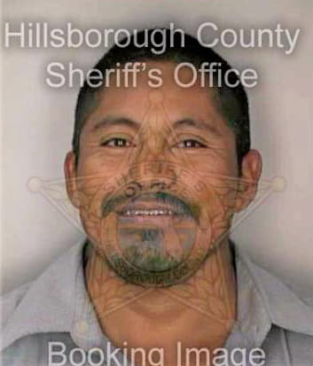 Manuel Miguel - Hillsborough County, FL 