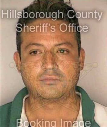 Silva Ricardo - Hillsborough County, FL 