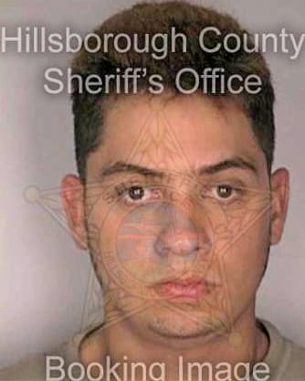 Vargas Jorge - Hillsborough County, FL 