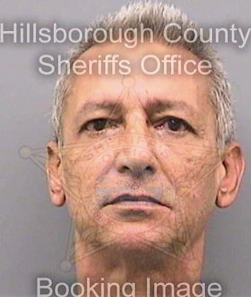 Patel Ashwin - Hillsborough County, FL 