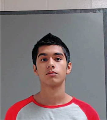 Lozano Edwin - Hidalgo County, TX 