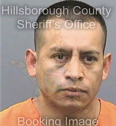 Sanchezgutierrez Mario - Hillsborough County, FL 